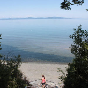 Meet your Posher, Molly